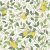 Citrontrad 5702